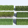 Green Garden Shrubs With Various Types Shapes And Neat Arrangement