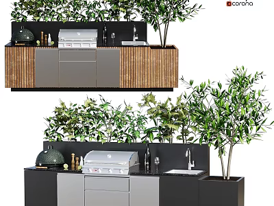 Modern Kitchen Appliances With Wooden Gray Cabinets Island Grill Sink And Olive Trees 3d model