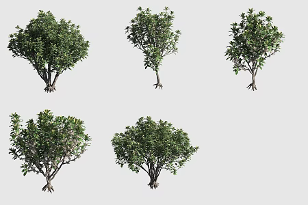 Hosmer sea tree Hawaiian plant 3d model