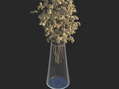 Elegant Decorative Dried Flowers Arrangement In Transparent Conical Glass Vase 3d model