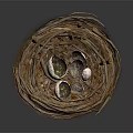 Natural Bird Nest Made Of Twigs With Spotted Eggs Inside Close Up Detail View
