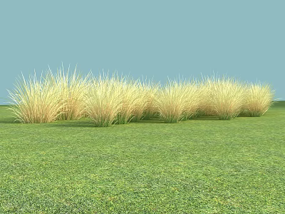 Lush Green Grassland With Yellow Grass Clumps Under Clear Blue Sky 3d model
