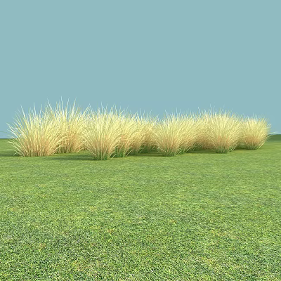 Lush Green Grassland With Yellow Grass Clumps Under Clear Blue Sky 3d model