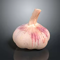 Fresh Whole Garlic Bulb With Purple Stripes On Black Background Close Up View