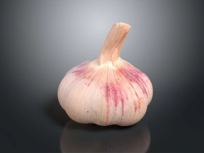 Fresh Whole Garlic Bulb With Purple Stripes On Black Background Close Up View 3d model