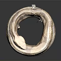 Coiled Brown And Tan Patterned Snake On Black Background With Shiny Scales 3d model