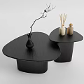 Modern Black Irregular Coffee Table with Vase Twig and Aromatherapy Bottles 3d model