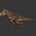 Realistic Tyrannosaurus Rex Dinosaur 3D Model With Detailed Texture And Standing Pose
