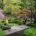 Garden Landscape With Paved Pathways People Relaxing On Benches And Lush Green Foliage
