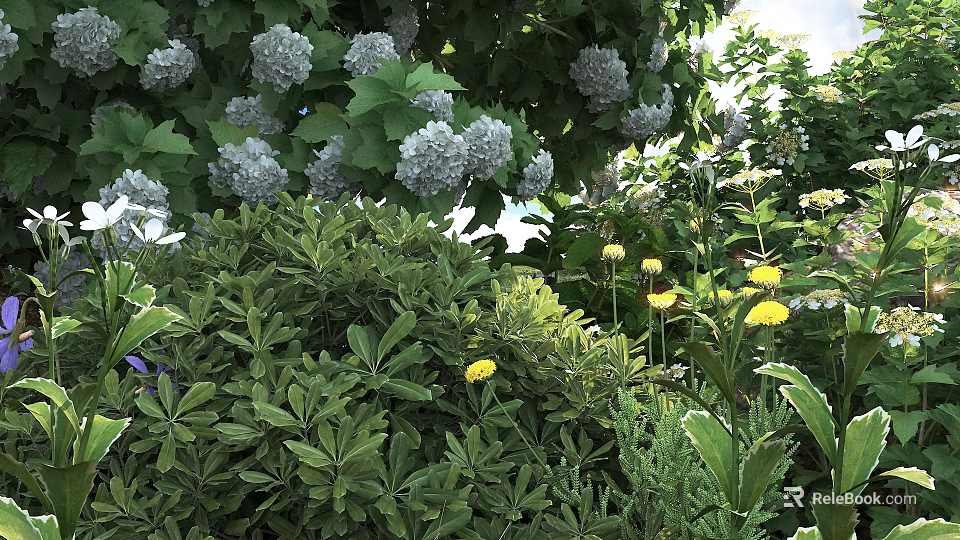 Lush Green Shrubs With White Hydrangea Flowers And Yellow Blossoms In Garden 3d model 