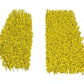 Pair of Lush Yellow Decorative Shrubs Trimmed For Garden Landscape Design