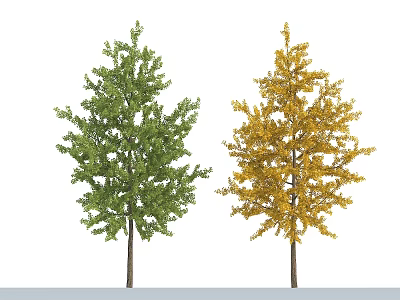 Two Trees With Green And Yellow Leaves Standing On White Background 3d model