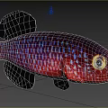 Vibrant Red And Purple Aquatic Fish With Spotted Dorsal Fin Large Eyes And Blue Background