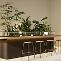 Modern Wooden Coffee Bar Counter With Lush Green Indoor Plants And Comfortable Bar Stools