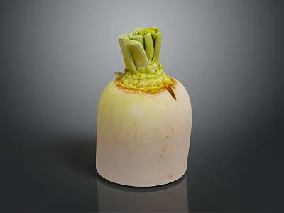 Healthy Fresh White Root Vegetable With Green Stems On Dark Surface 3d model