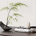 Decorative Bonsai Plant in Black Pot with Small Pebbles and Books on Wooden Table