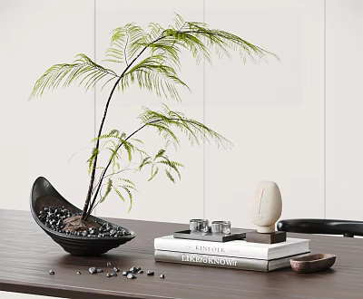 Decorative Bonsai Plant in Black Pot with Small Pebbles and Books on Wooden Table 3d model