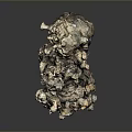 Natural Organ And Hair Structure With Rough Surface And Irregular Protrusions