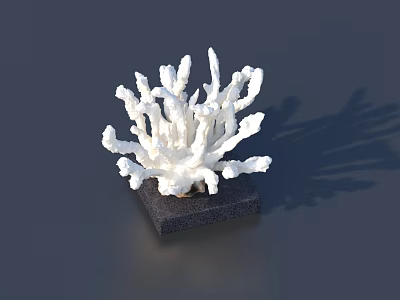 White Coral Shaped Carved Sculpture With Intricate Branching Design On Dark Base 3d model