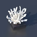 White Coral Shaped Carved Sculpture With Intricate Branching Design On Dark Base