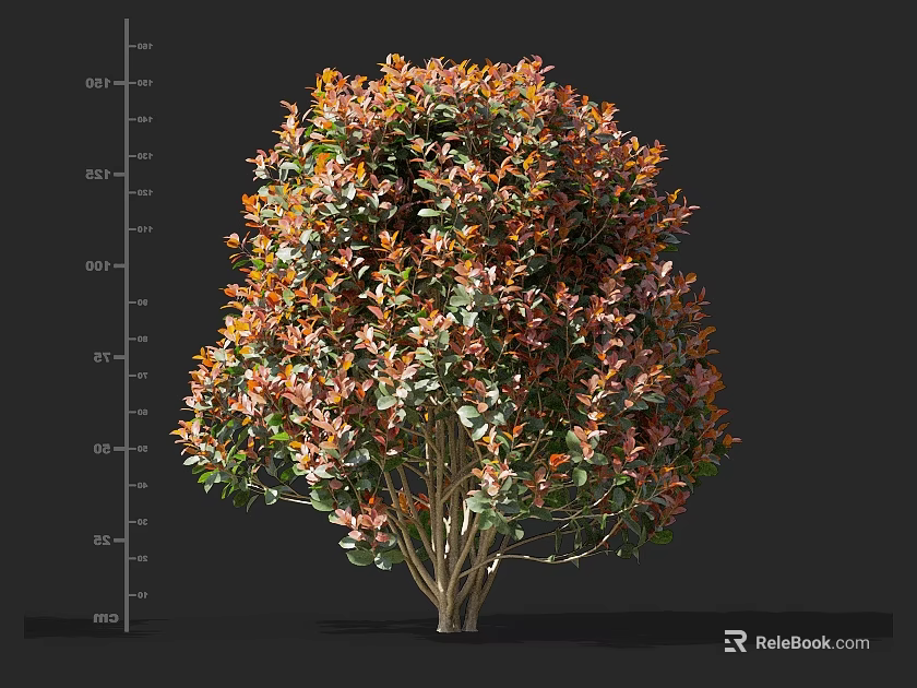 Lush Shrub With Colorful Orange Green Leaves And Various Growth Height Scales 3d model 