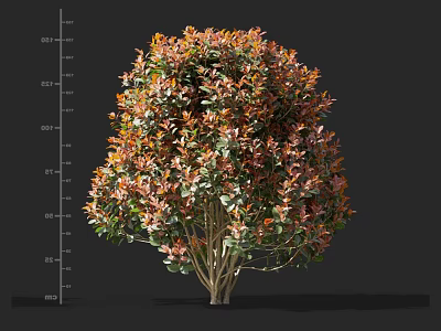 Lush Shrub With Colorful Orange Green Leaves And Various Growth Height Scales 3d model