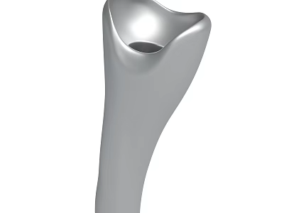 Silver Ergonomic Medical Prosthetic Component With Smooth Metallic Surface And Streamlined Design 3d model