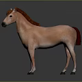 Brown Horse 3D Model Standing On Dark Background With Reflection 3d model
