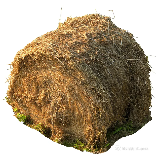 Round Dry Hay Bale In Agricultural Field With Natural Straw Texture 3d model 