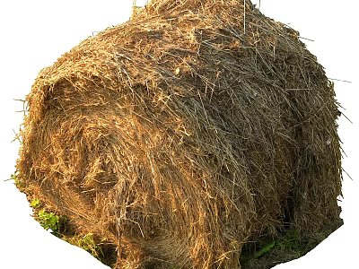 Round Dry Hay Bale In Agricultural Field With Natural Straw Texture 3d model