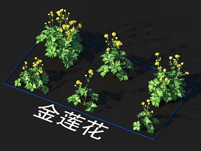 Golden Lotus Flowers Displaying Yellow Blooms And Lush Green Leaves In Garden 3d model