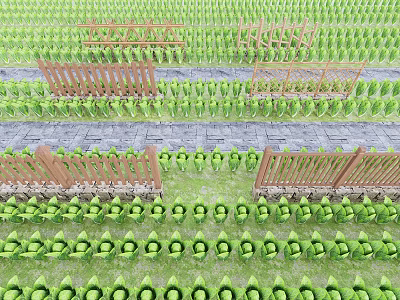 Organized Farm Garden With Neat Green Plants Stone Path And Wooden Fences 3d model