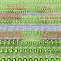 Organized Farm Garden With Neat Green Plants Stone Path And Wooden Fences