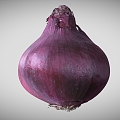 Onion Red Onion Vegetable Scan Onion Scan Vegetable 3d model