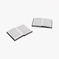 Two Open Books With Text Pages On Clean White Background 3d model