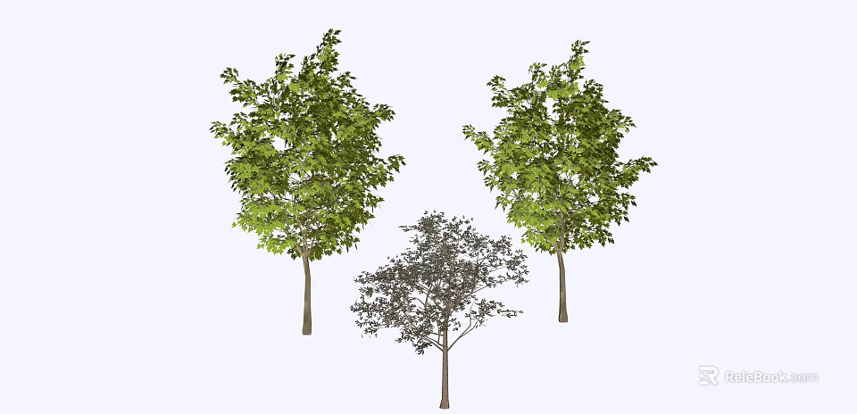Three Arbor Trees With Green Foliage Different Sizes And Varied Leaf Shapes 3d model