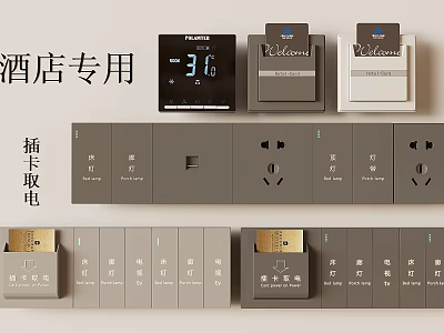 Hotel Specific Switch Panels With Card Operated Power And Thermostat 3d model