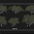 Lush Green Landscape Arbor with Various Natural Shapes for Outdoor Design