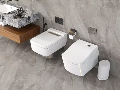 Modern Bathroom Interior With Two White Wall Hung Toilets And Marble Sink Accessories 3d model