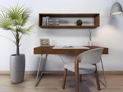 Modern Minimalist Wooden Desk Setup With Bookshelf Chair Potted Plant And Lamp 3d model