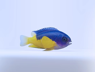 Blue Yellow Fish Modern Fish 3d model