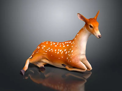 Young Brown And White Deer With White Spots Lying On Smooth Reflective Surface 3d model