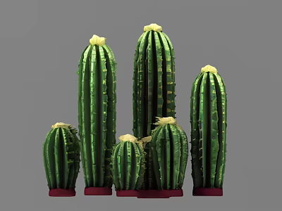 Green Columnar Succulent Cactus Plants With Different Sizes And Red Base 3d model