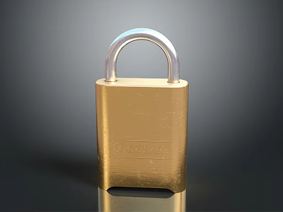 Lock Rite Golden Metal Door Handle Featuring Silver Accents And Durable Sleek Design For Home 3d model