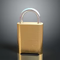Lock Rite Golden Metal Door Handle Featuring Silver Accents And Durable Sleek Design For Home