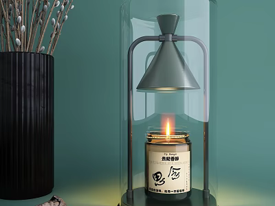 Modern Minimalist Decorative Ornament Set With Glass Cloche Candle Black Vase And Reeds 3d model