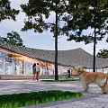 Modern Curved Glass Building Featuring Wooden Structure Trees Pathway People Walking And Bicyclist