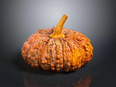Fresh Orange Pumpkin With Bumpy Texture And Brown Stem On Dark Background 3d model