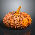 Fresh Orange Pumpkin With Bumpy Texture And Brown Stem On Dark Background
