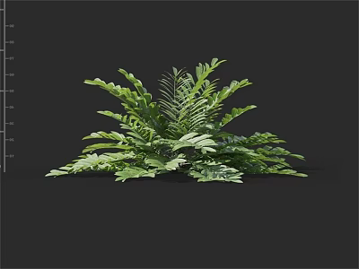 Lush Green Shrub With Dense Tropical Foliage And Vibrant Leaves 3d model